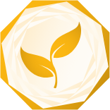 Award Categories Icon