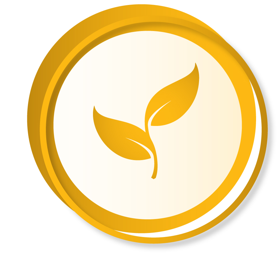 Award Categories Icon